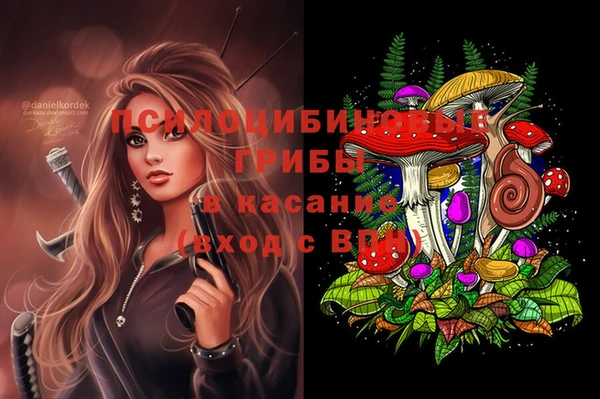 бутират Алексин