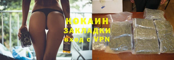 крисы Алзамай