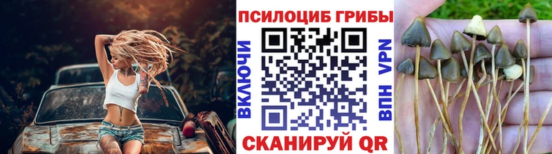 Галлюциногенные грибы мухоморы  Аргун 